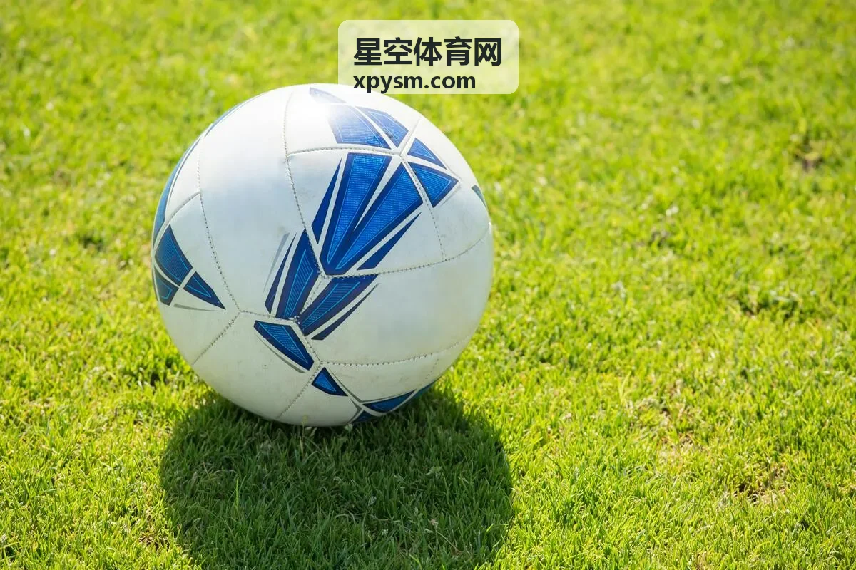 星空体育网 篮球联赛案例